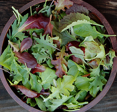Salad Mixes